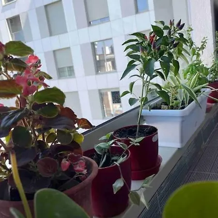 Stylish Nest @15 Min To Center *